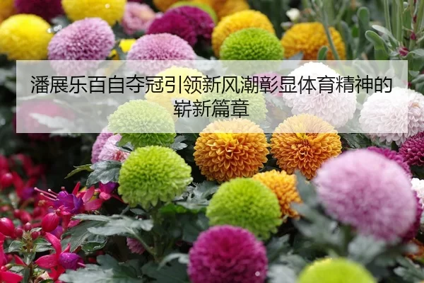 潘展乐百自夺冠引领新风潮彰显体育精神的崭新篇章